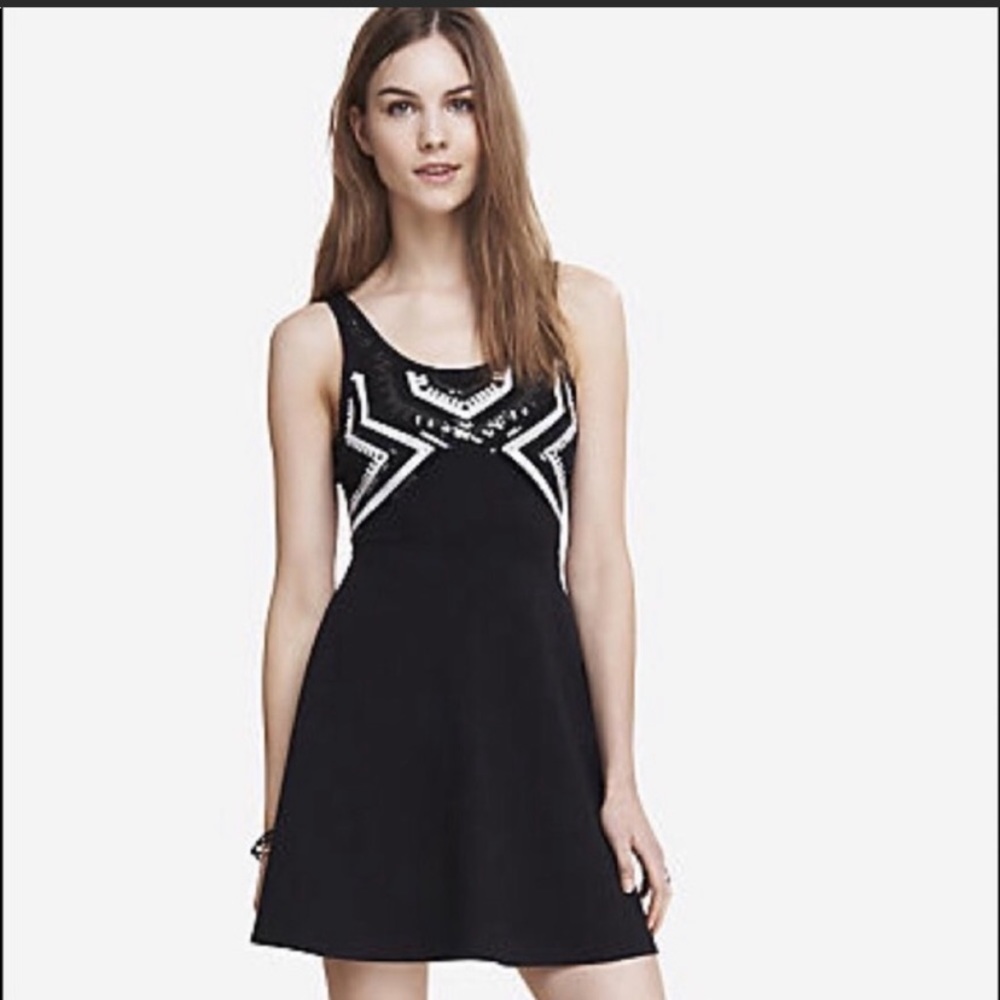 Express Skater Dress